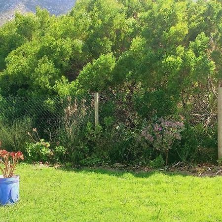Cat Nap Cottage Bettyʼs Bay Zewnętrze zdjęcie