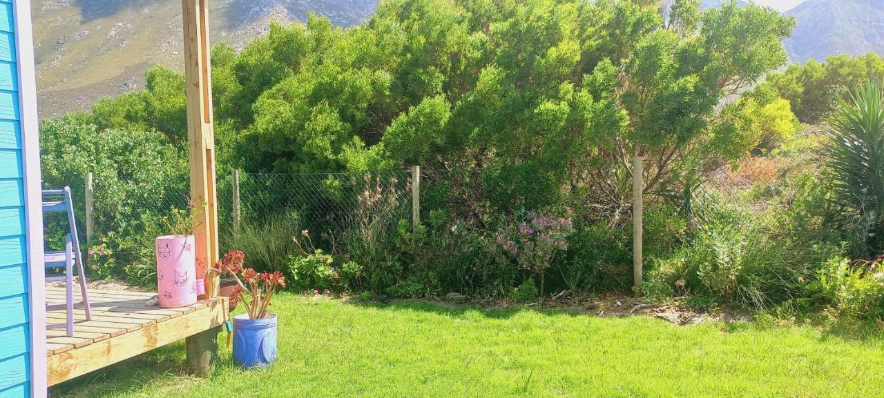 Cat Nap Cottage Bettyʼs Bay Zewnętrze zdjęcie