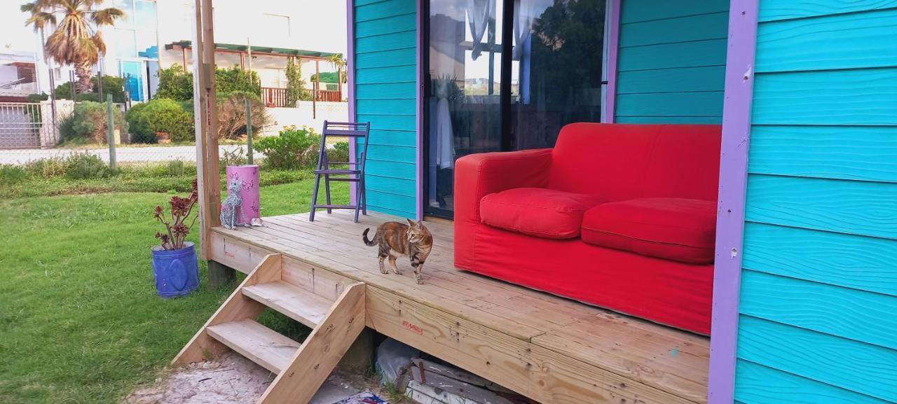 Cat Nap Cottage Bettyʼs Bay Zewnętrze zdjęcie