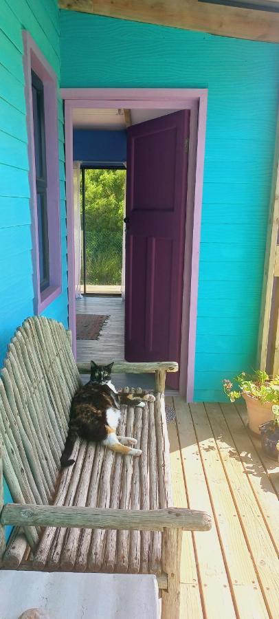 Cat Nap Cottage Bettyʼs Bay Zewnętrze zdjęcie
