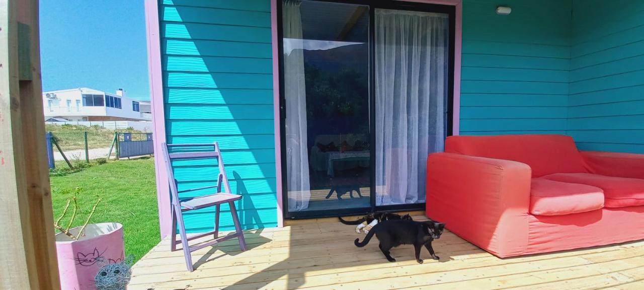 Cat Nap Cottage Bettyʼs Bay Zewnętrze zdjęcie