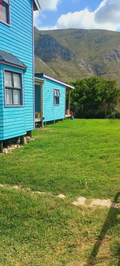 Cat Nap Cottage Bettyʼs Bay Zewnętrze zdjęcie